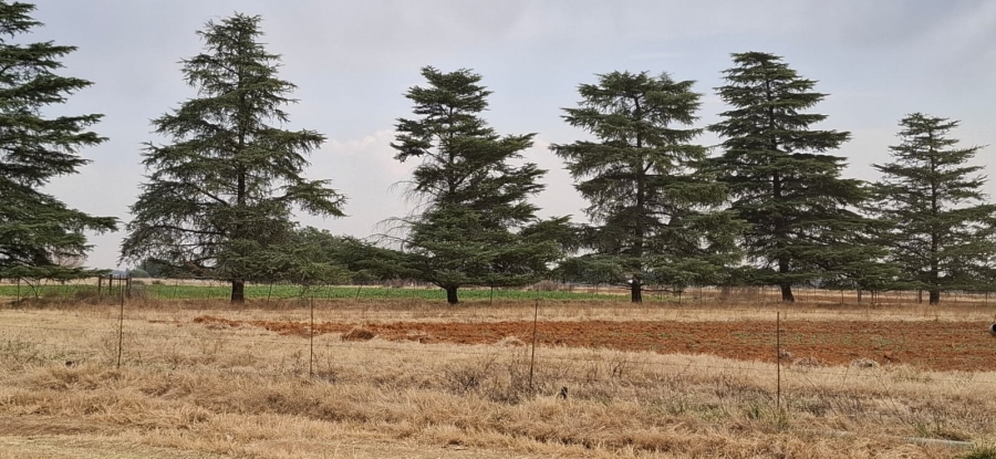 Commercial Property for Sale in Bainsvlei Free State